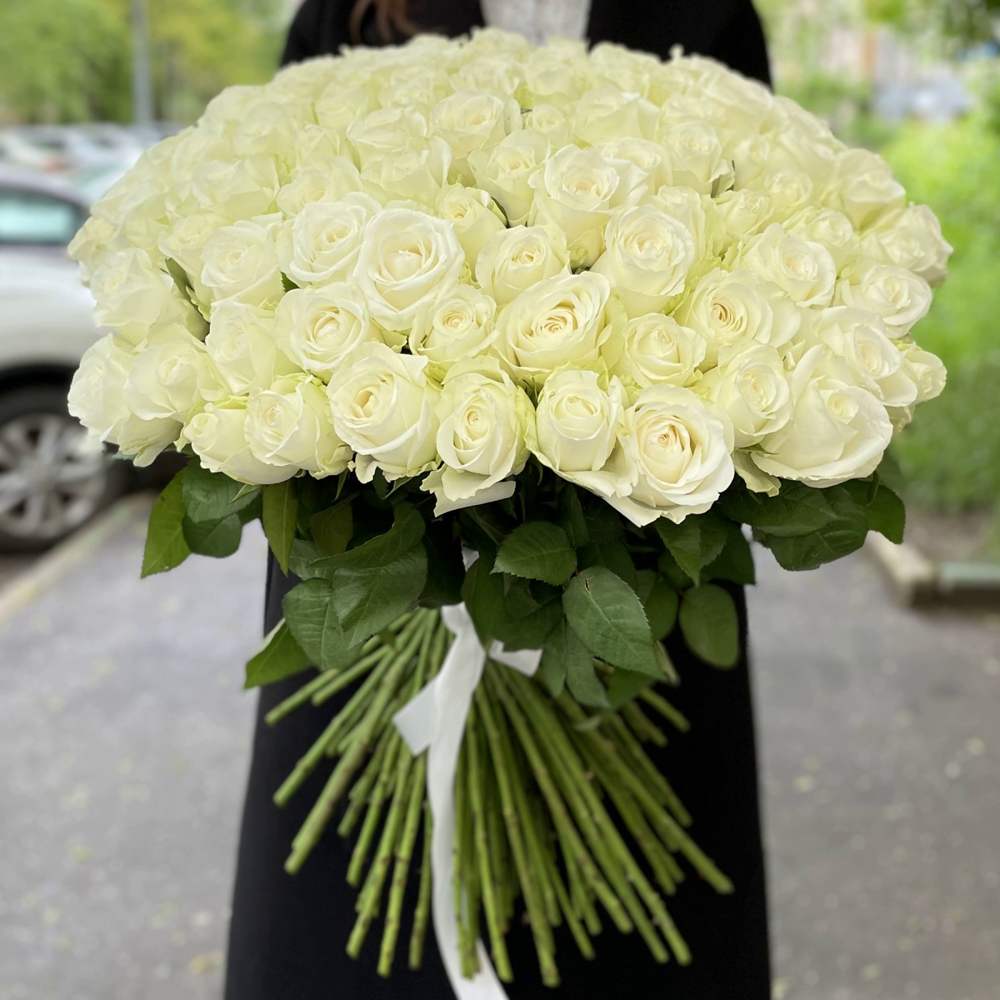 101 белая роза Premium 60 см.