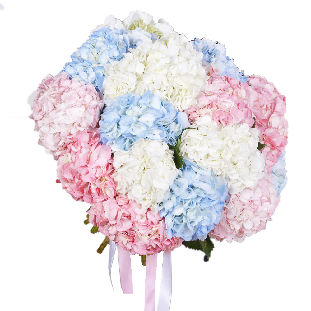 Букет из 15 Гортензий