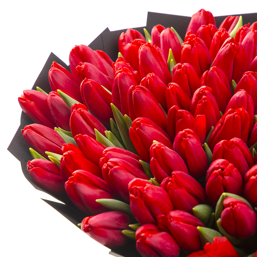 101 красный тюльпан
