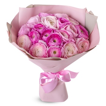 Букет из 21 розового ранункулюса