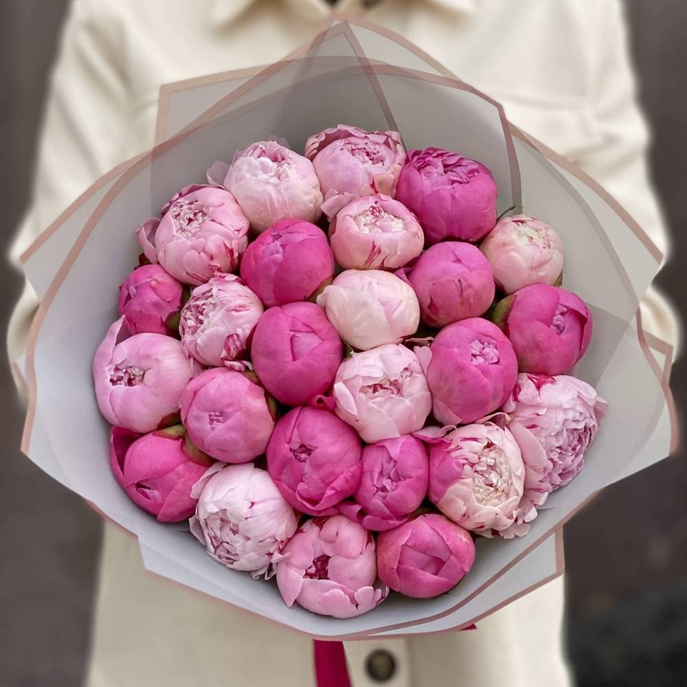 Букет из 25 разноцветных пиона